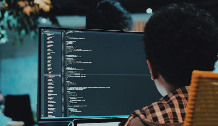 Software Developer İş İlanları