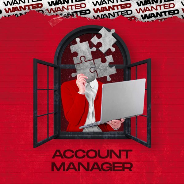 Account Manager iş ilanları