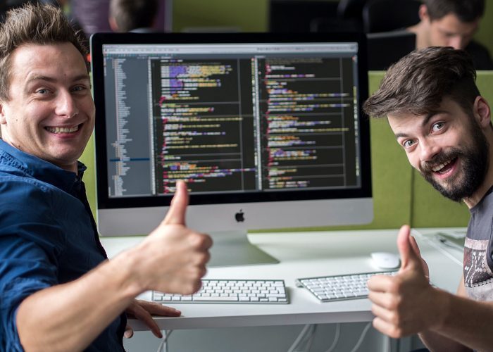 CodeSection, Flutter Developer Flutter Developer iş ilanı