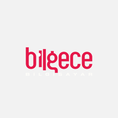Yazılım Geliştirme Uzmanı 2 Bilgece Bilgisayar