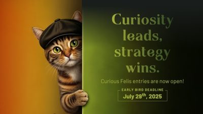 Curious Felis
