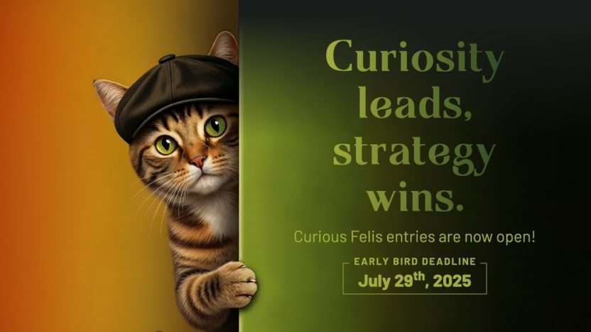 Curious Felis