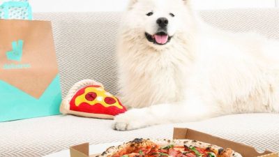 Deliveroo'nun köpeklere özel kampanyası