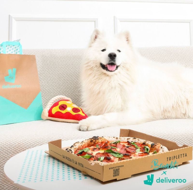 Deliveroo'nun köpeklere özel kampanyası