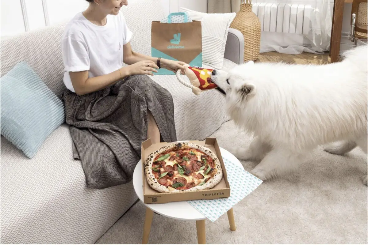 Deliveroonun kopeklere ozel kampanyasi