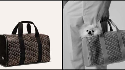 Goyard evcil hayvan koleksiyonu