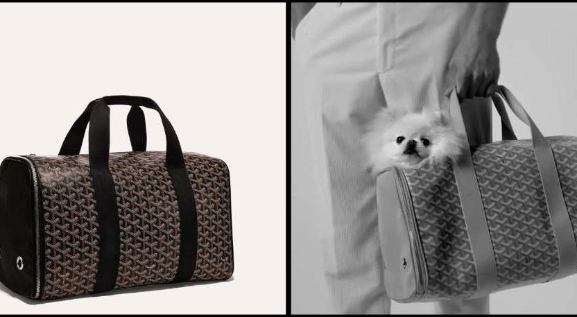 Goyard evcil hayvan koleksiyonu