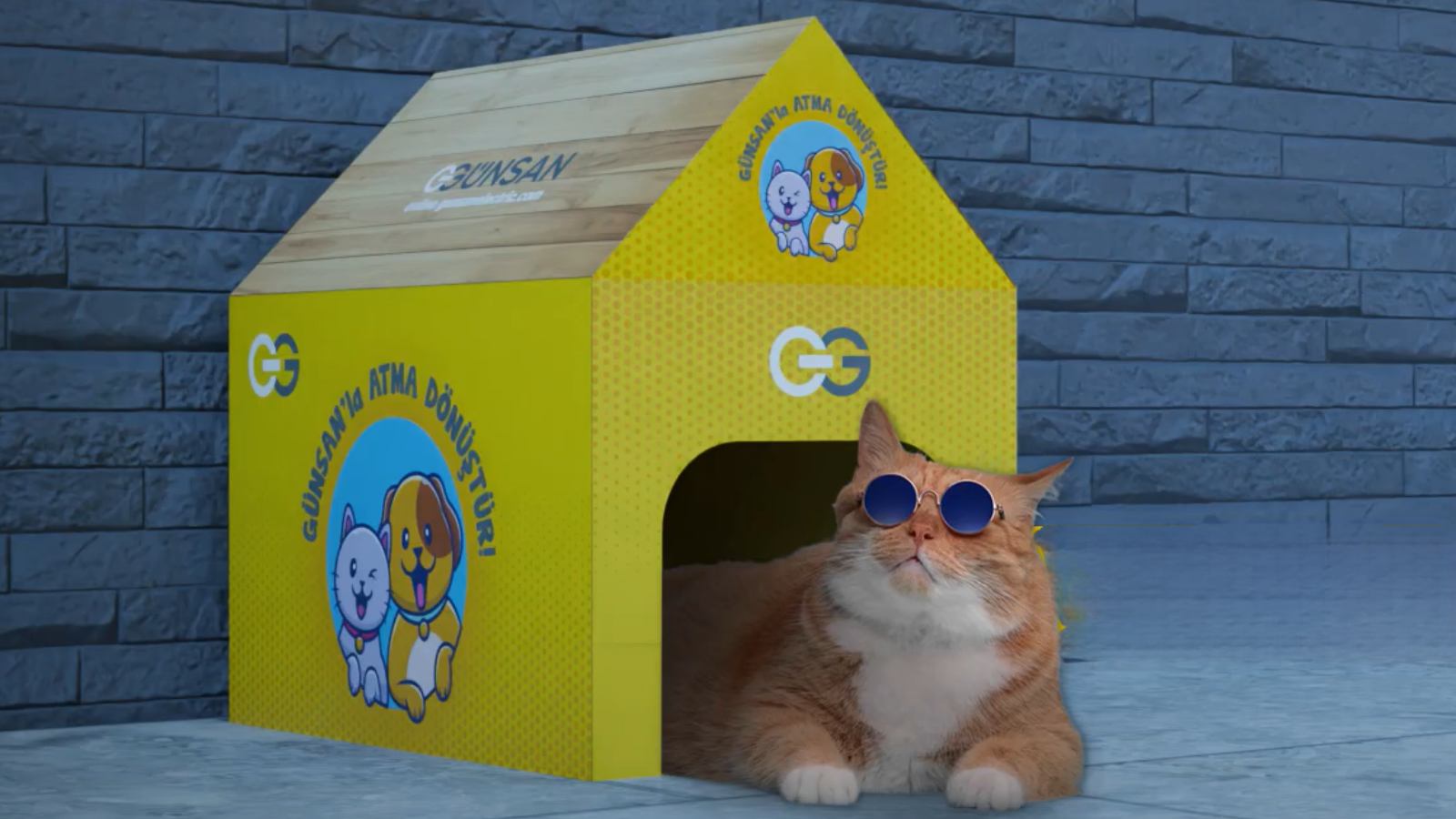 Gunsan Elektrik Kedi Evi