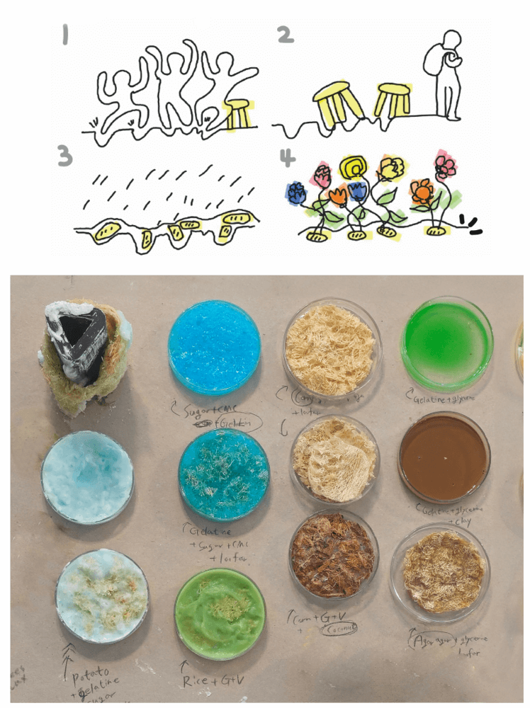 Patates Bazli Plastik 1