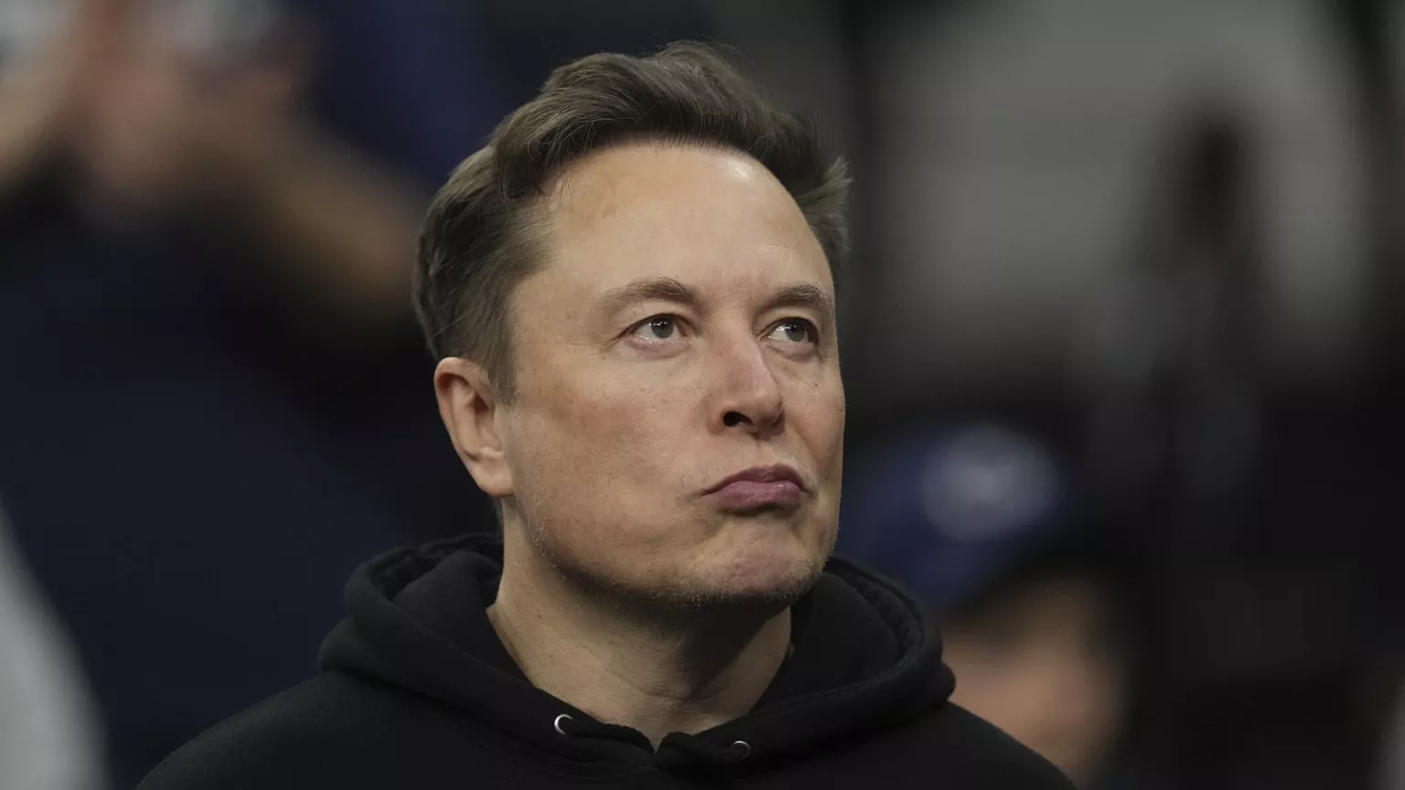 America Party Elon Musk