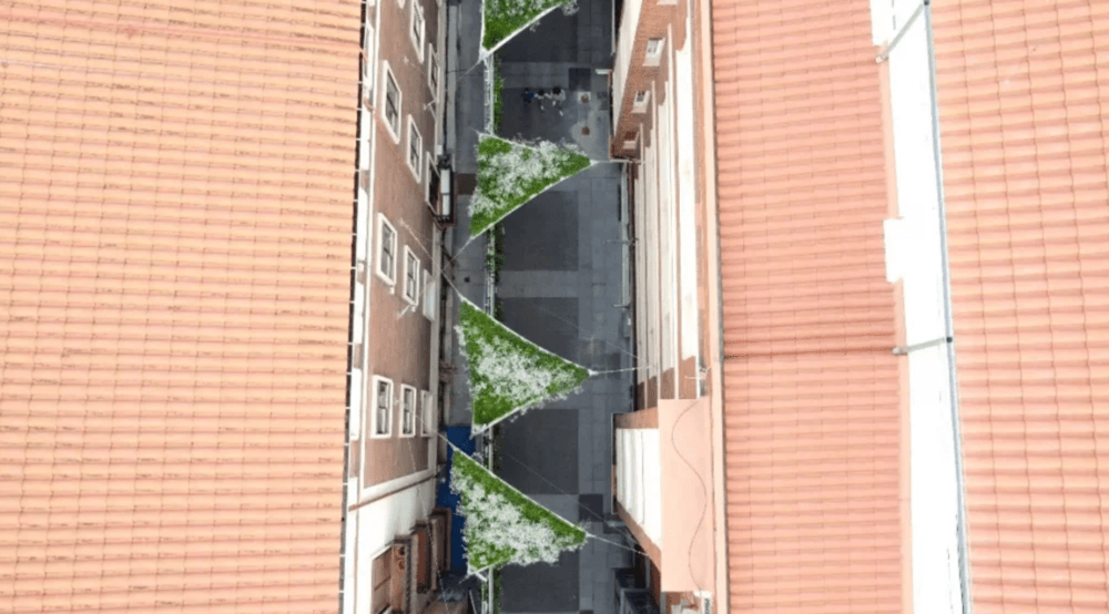 green shades 6