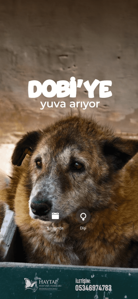 iPhone Iletisim Posteri.4 1