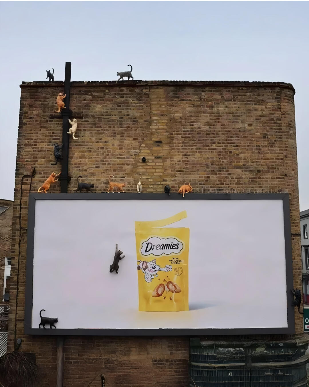 Dreamies reklam kampanyası