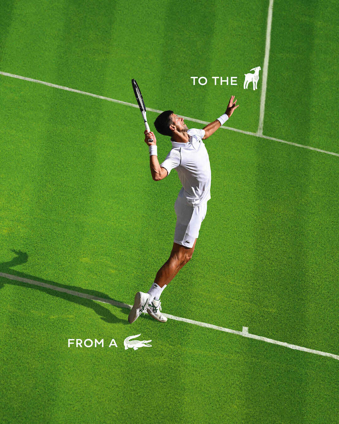 lacoste.1 1