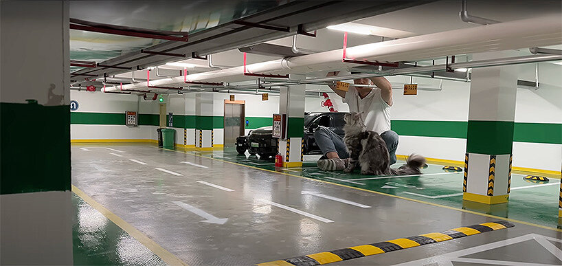 Kedi Metrosu.2 1