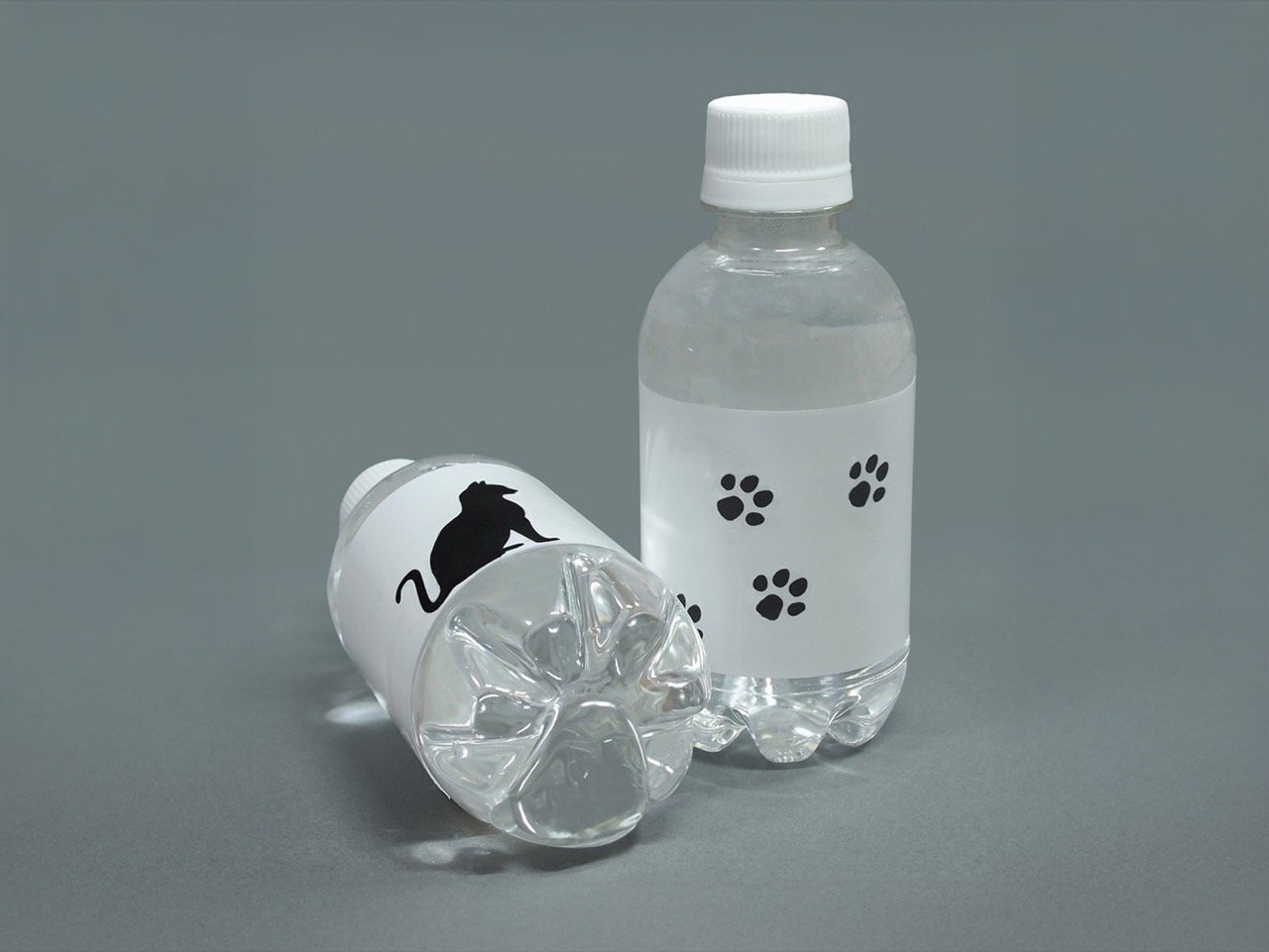 Pet Paw Bottle.1