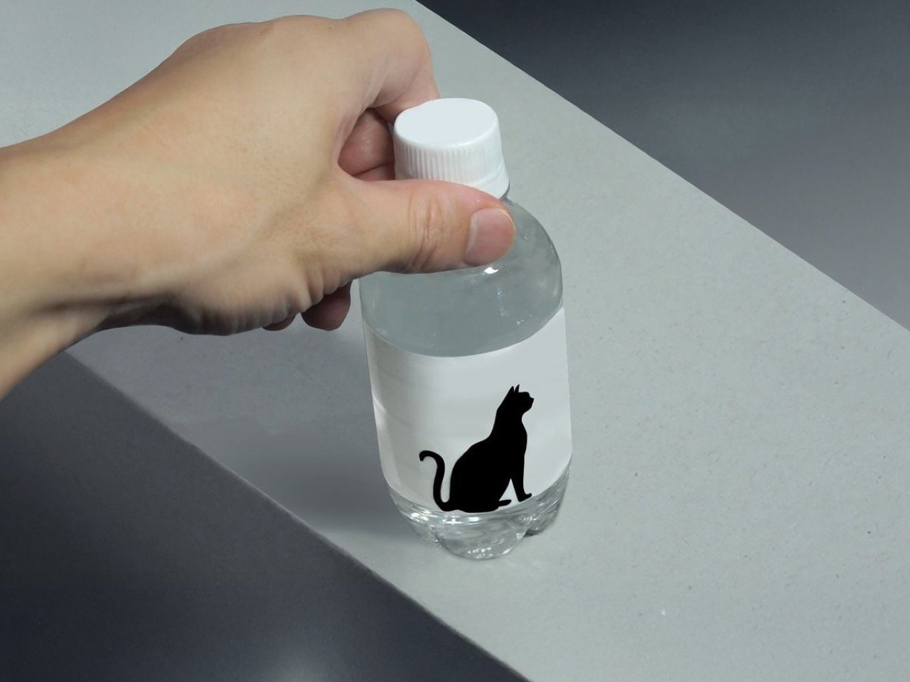 Pet Paw Bottle.2