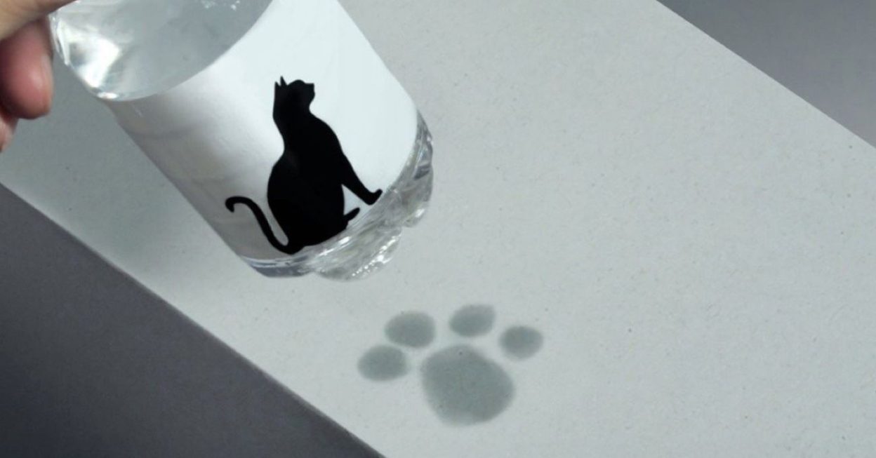 Pet Paw Bottle