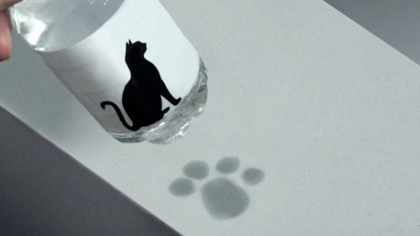 Pet Paw Bottle