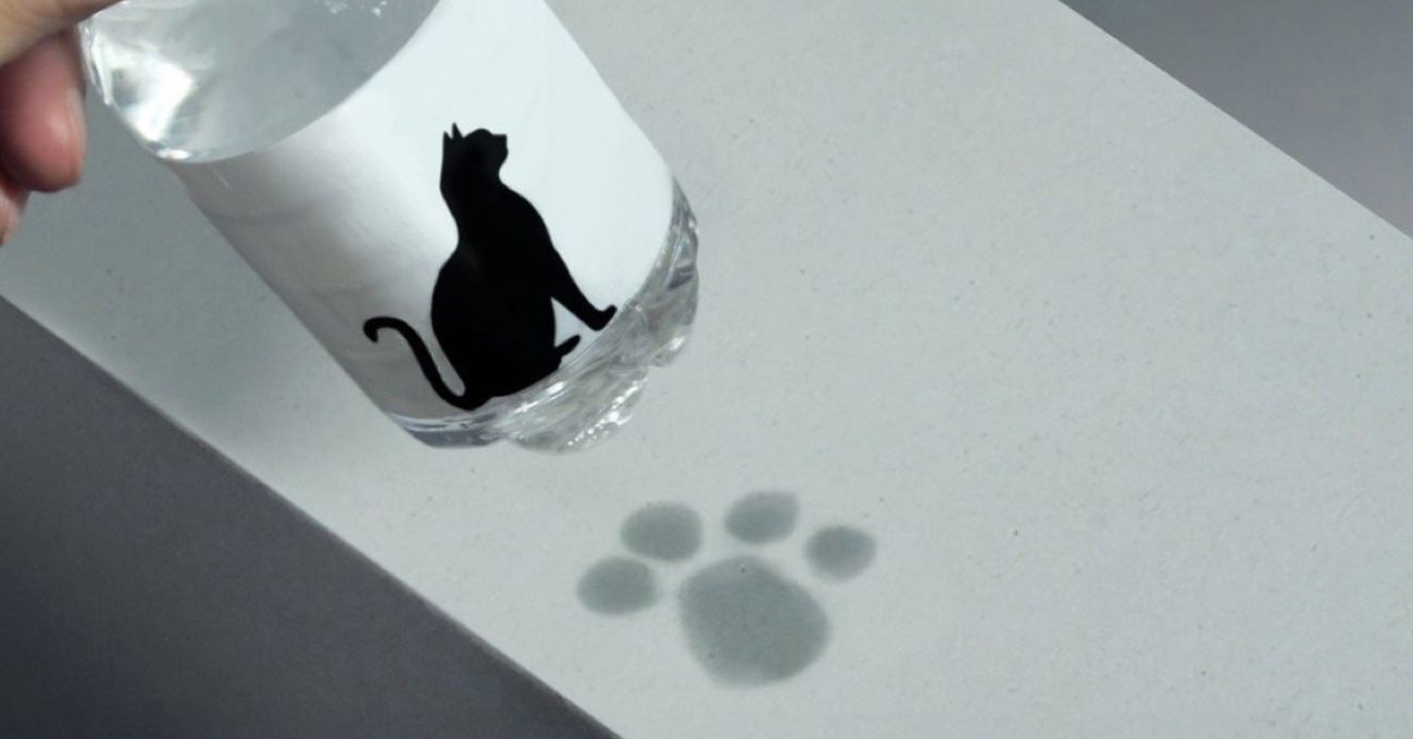 Pet Paw Bottle