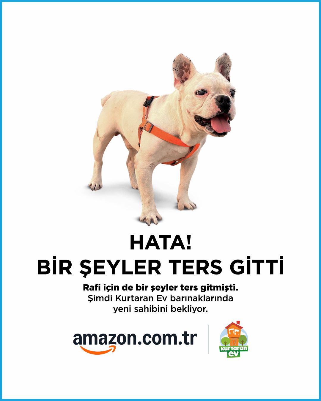 Amazon Dunya Hayvanlari Koruma Gunu kampanyasi.1