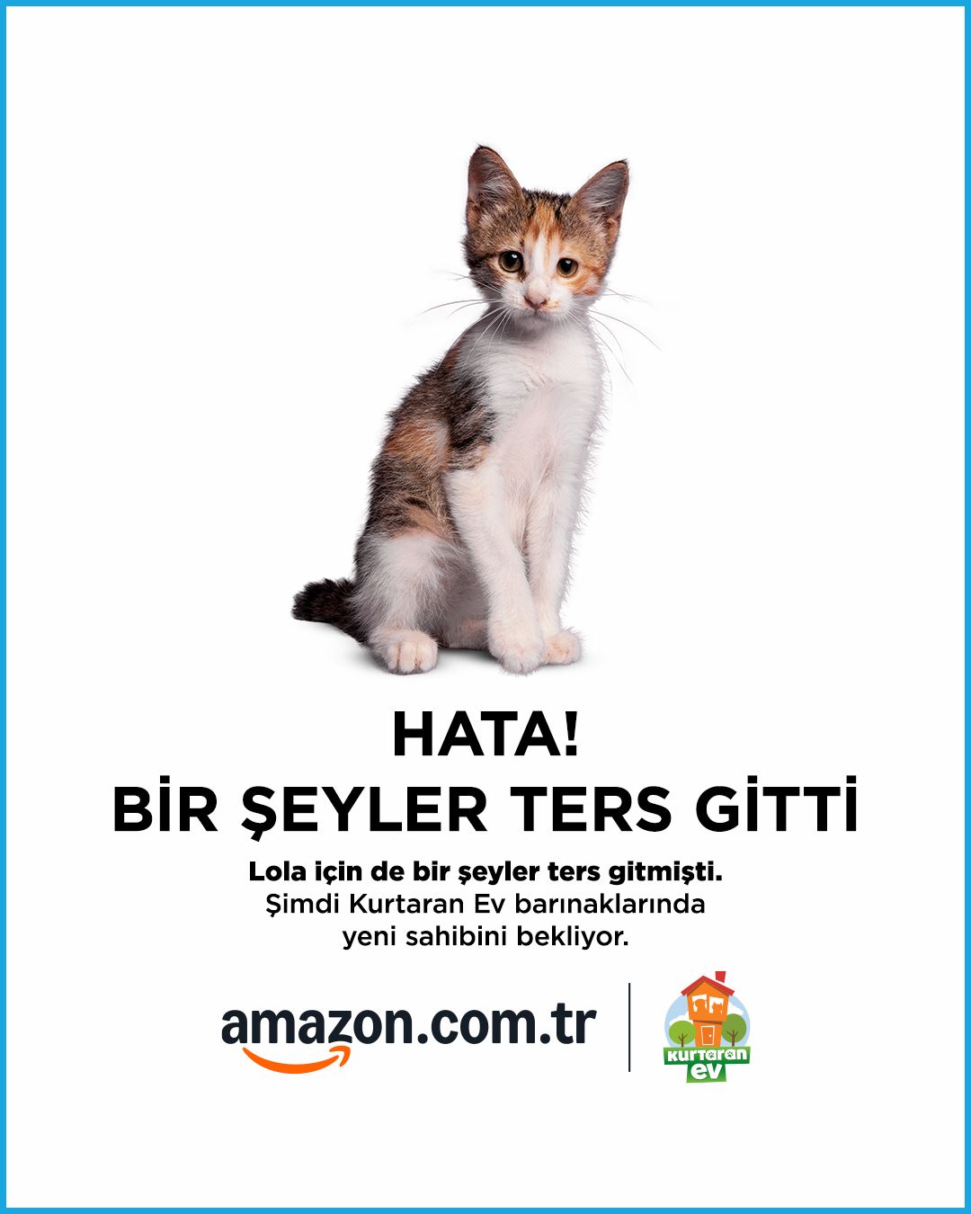 Amazon Dunya Hayvanlari Koruma Gunu kampanyasi.2