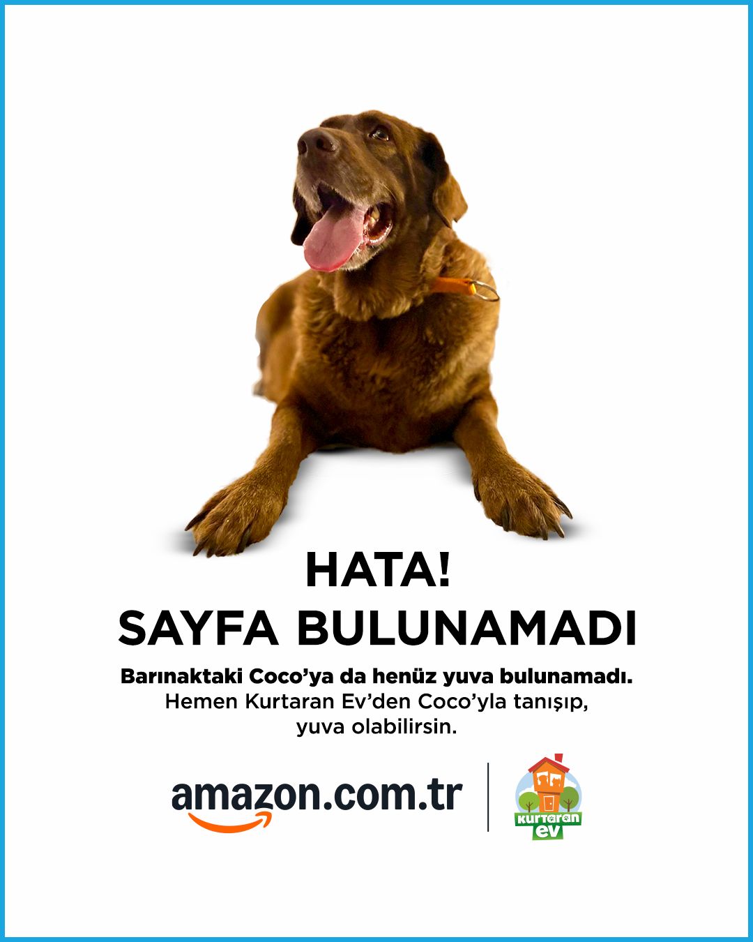 Amazon Dunya Hayvanlari Koruma Gunu kampanyasi.3