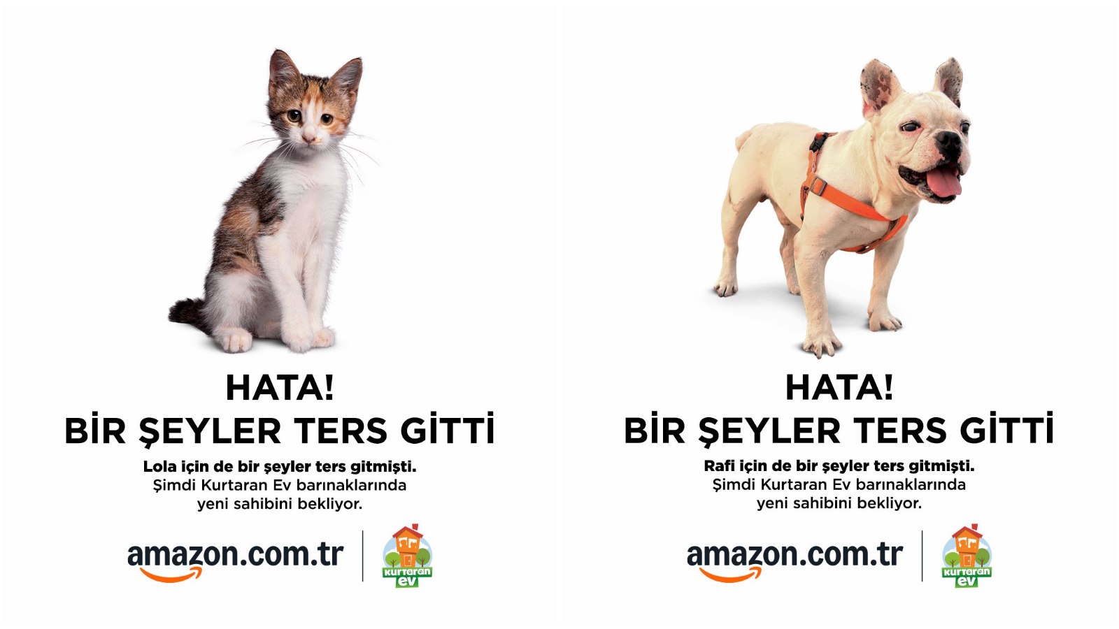 Amazon Dünya Hayvanları Koruma Günü kampanyası