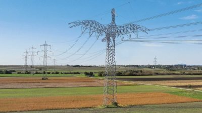 Austrian Power Giants: Yaban Hayatından İlham Alan Elektrik Direkleri 9 Austrian Power Giants