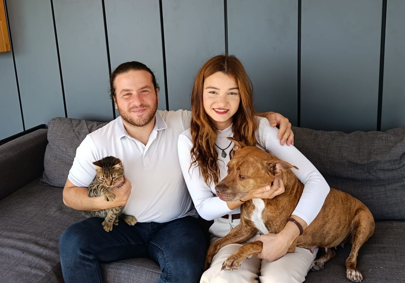 Yapay Zeka Destekli PawBeat ile Evcil Dostlar Dile Geliyor 2