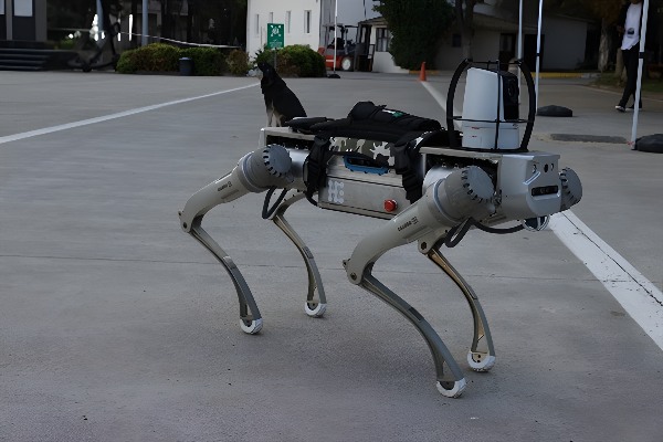 Yerli Robot Köpek Proteo