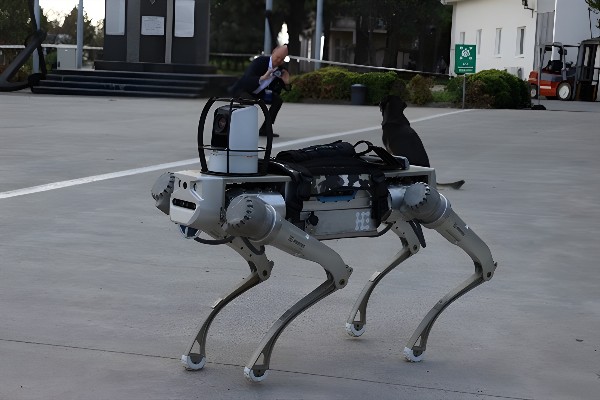 Yerli Robot Köpek Proteo
