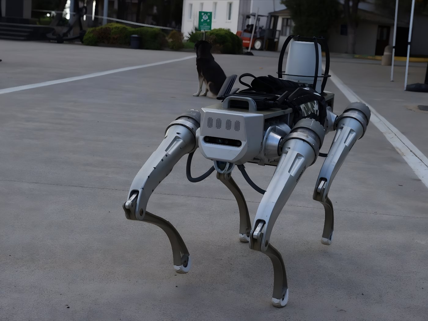 Yerli Robot Köpek Proteo
