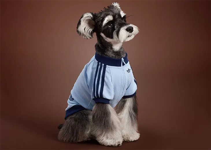 adidas Pet Koleksiyonu.4