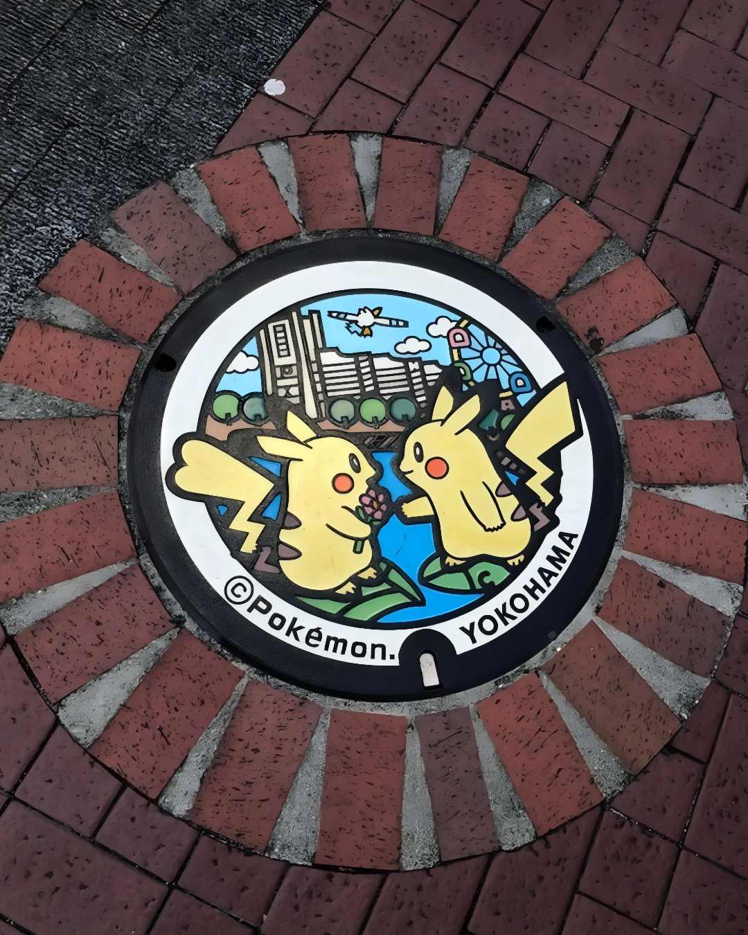 Japonya rogar kapaklari 12