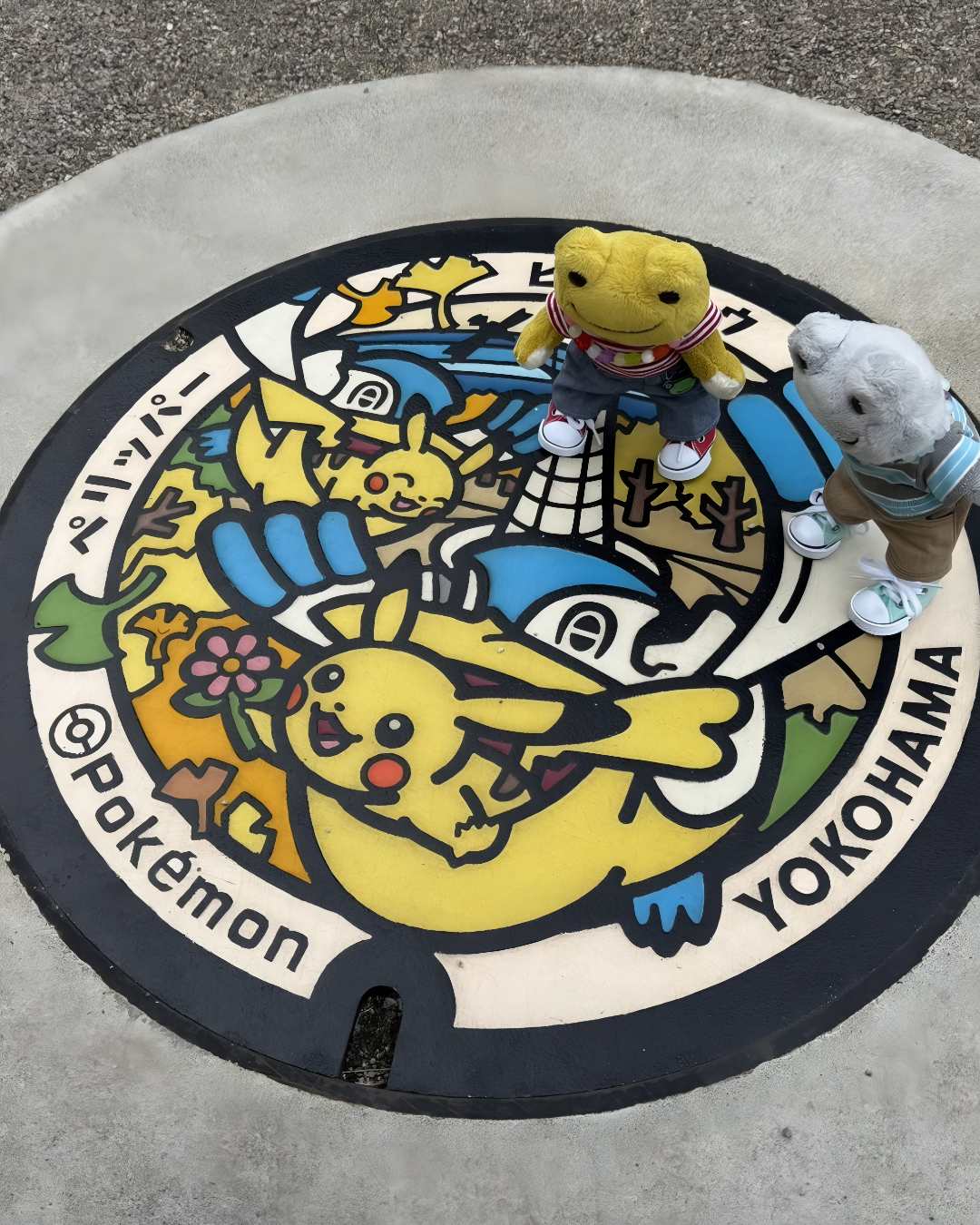 Japonya rogar kapaklari 5