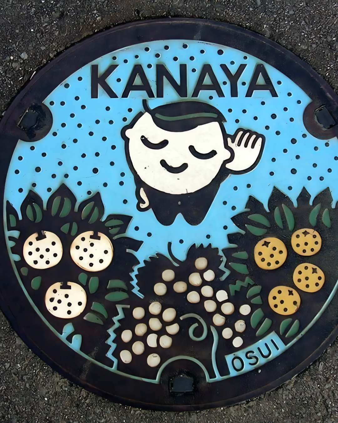 Japonya rogar kapaklari 7