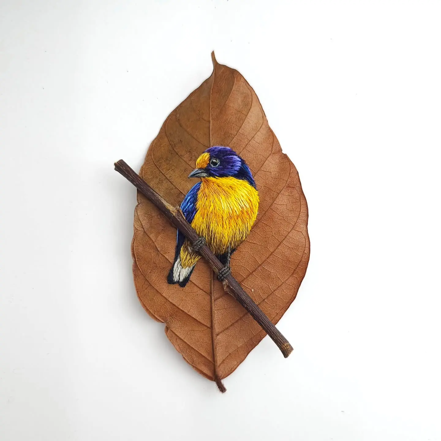 Laura Dalla Vecchia nakis sanati 10