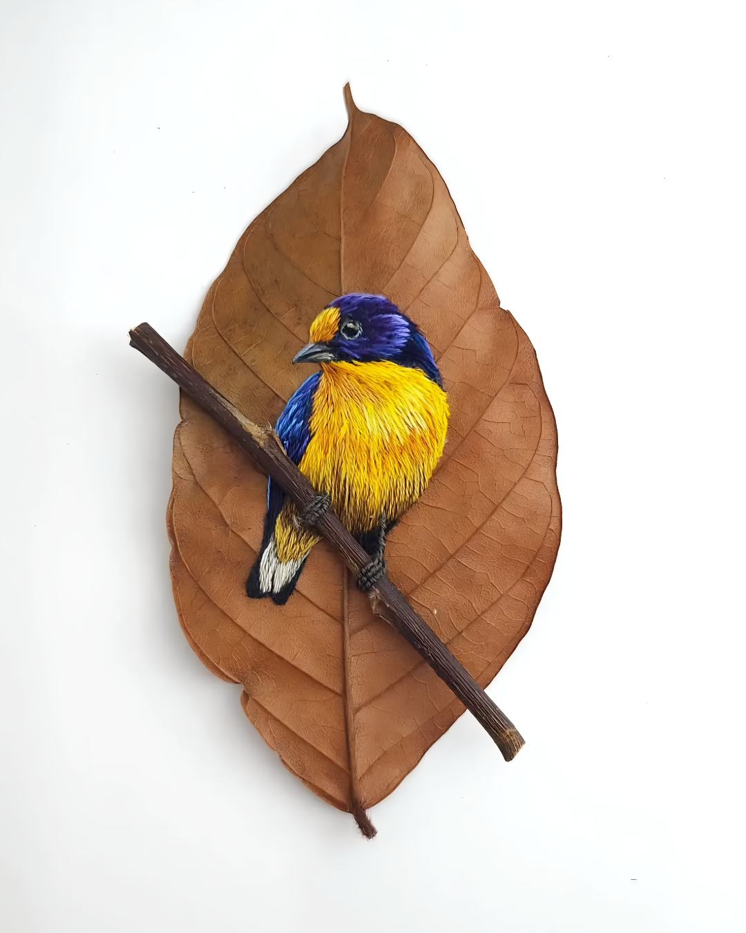 Laura Dalla Vecchia nakis sanati 8