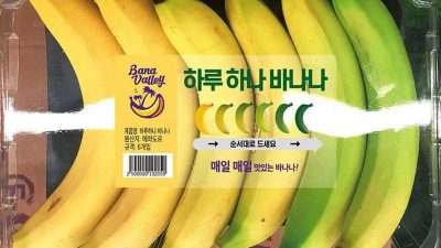 Muz Paketleme Sistemi