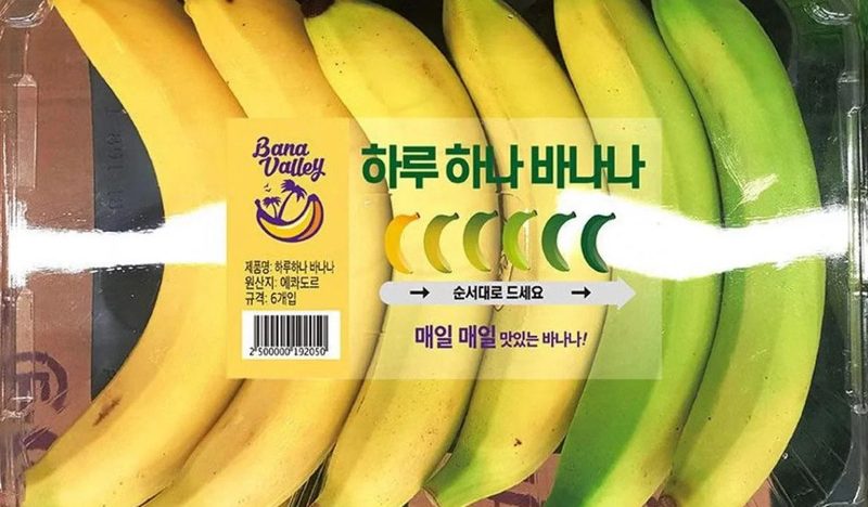 Muz Paketleme Sistemi