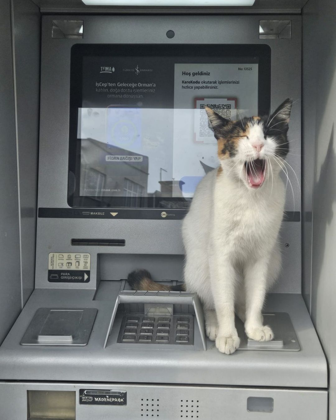 atm sorumlusu iş bankası 