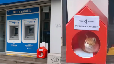 iş bankası bankamatik sorumlusu dersi