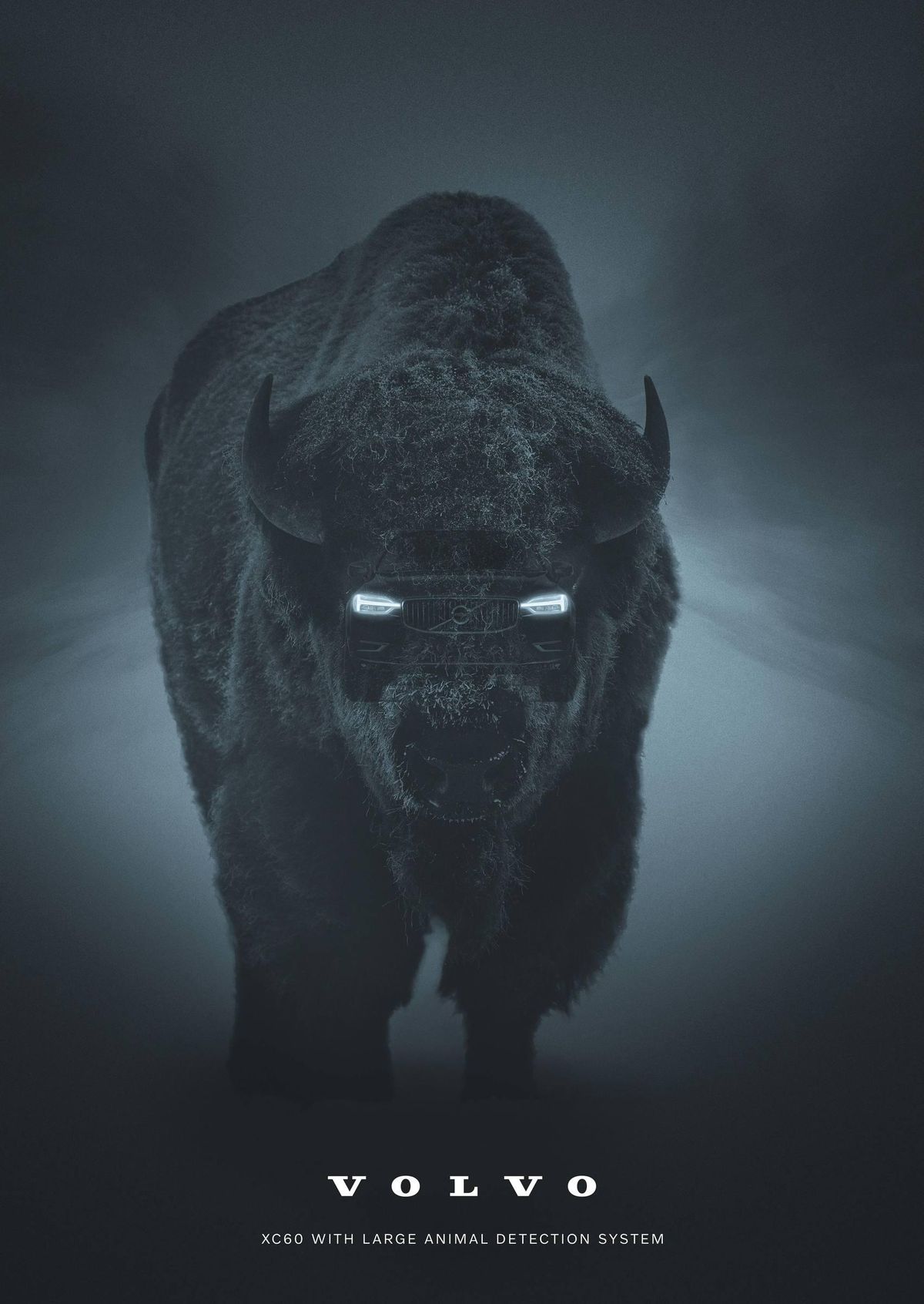 volvo hayvan algilama