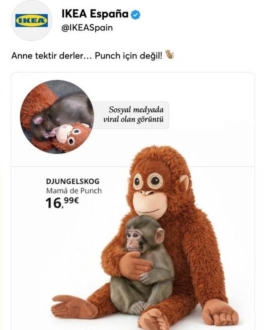 IKEA İspanya