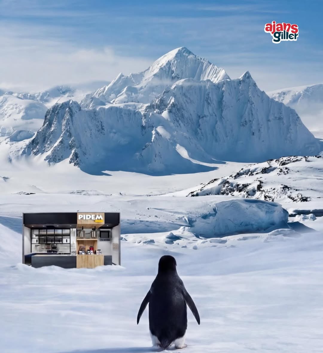 Nihilist Penguen Akımı: Markalar Neden Antarktika'ya Taşındı? 7 nihilist penguen