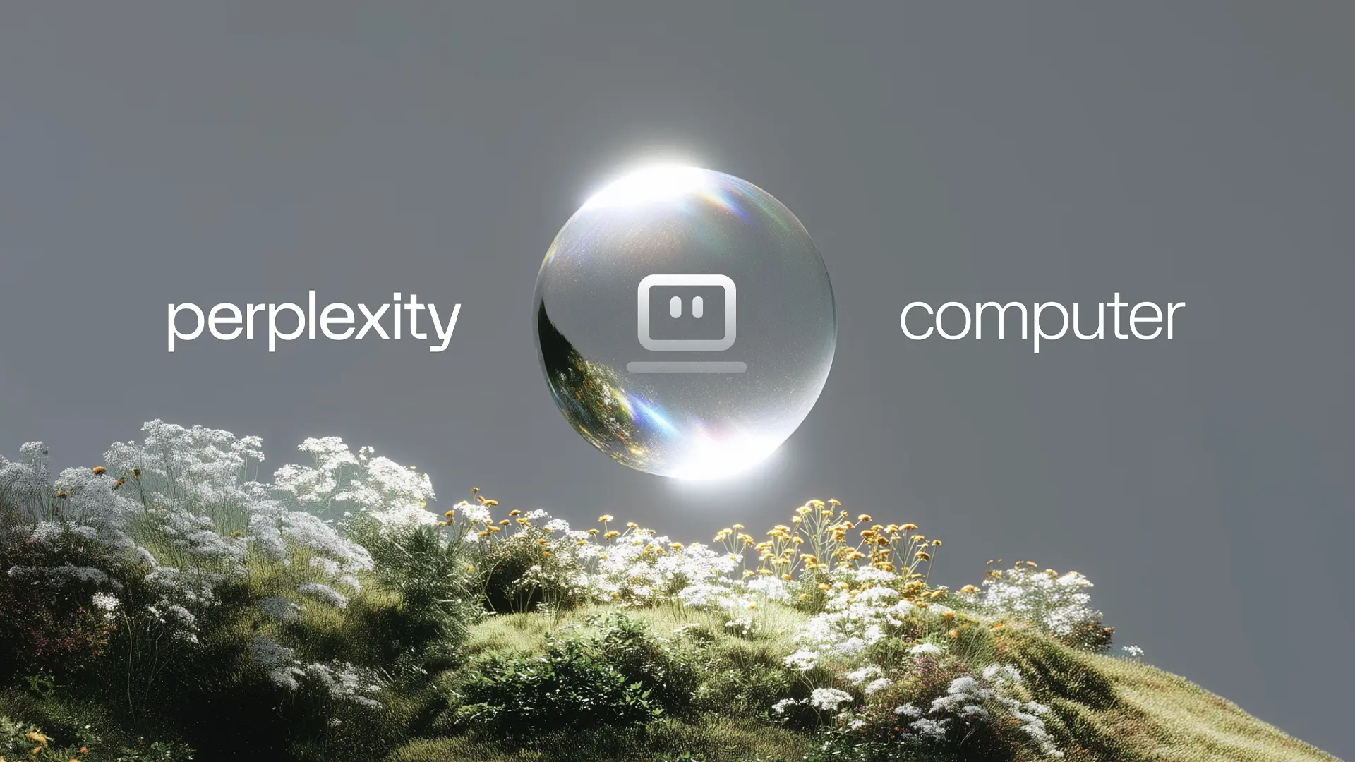 Perplexity