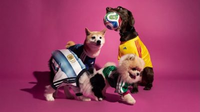 adidas pet koleksiyon