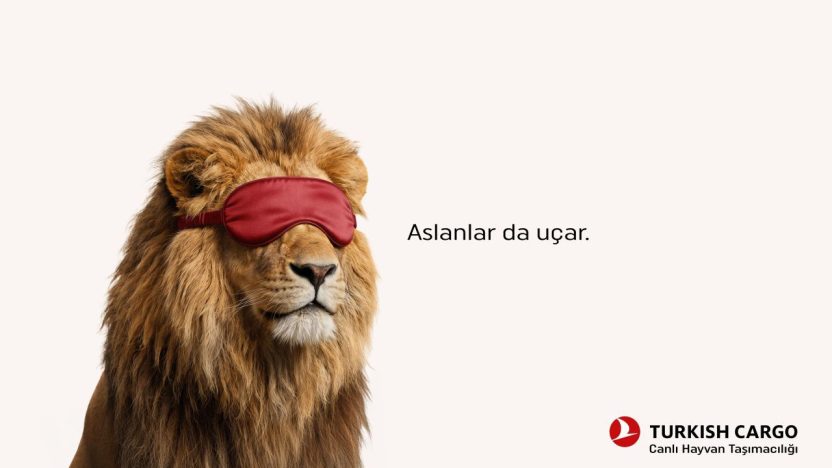 aslan