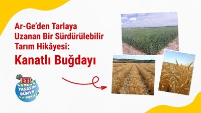 ETİ